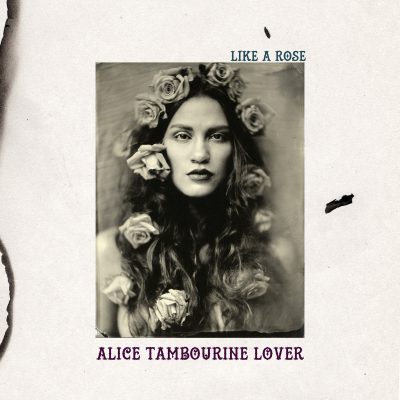 Alice Tambourine Lover – Like A&nbsp;Rose