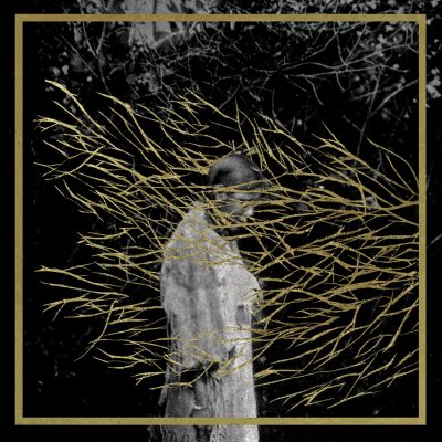 Forest Swords – Engravings&nbsp;(2013)